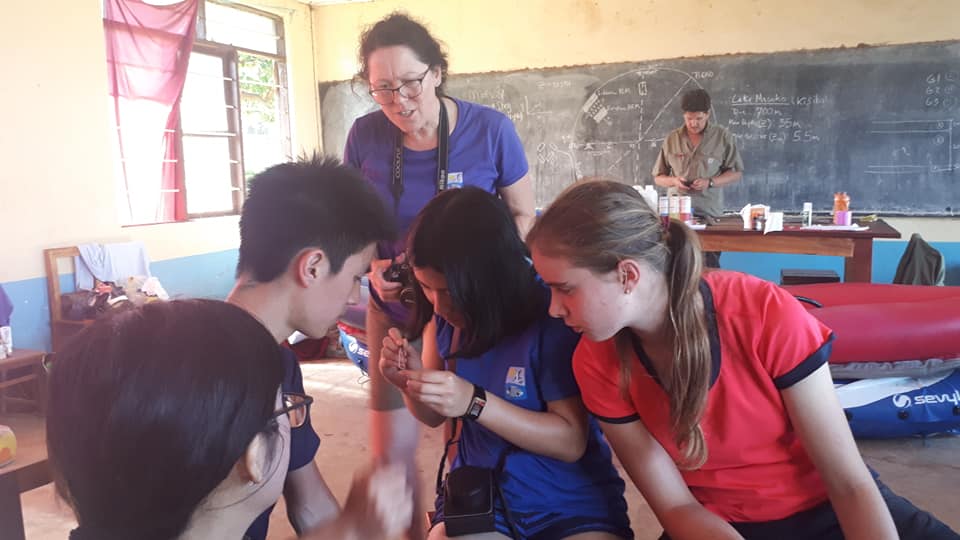 37402493_1057771687722054_6800019070314872832_n