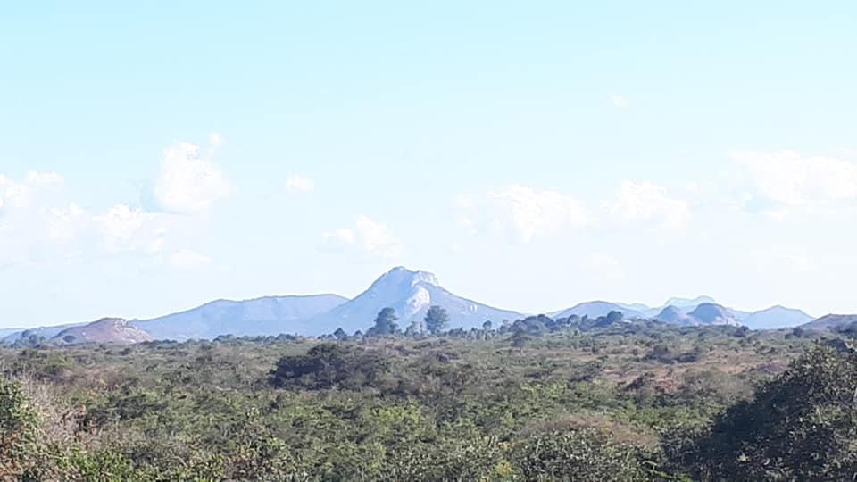 37407793_1057779151054641_1319531403506876416_n