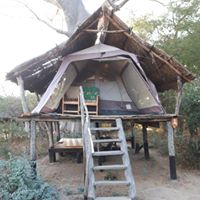 37685239_1062279293937960_1846753508267655168_n