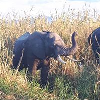 37712155_1062278753938014_1976827825482629120_n